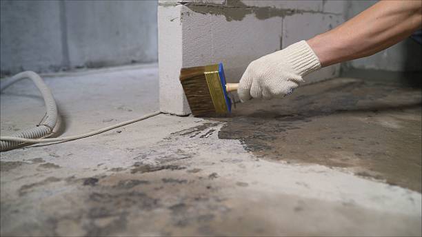 24/7 Emergency Wet Basement Repair experts in North Star, MI